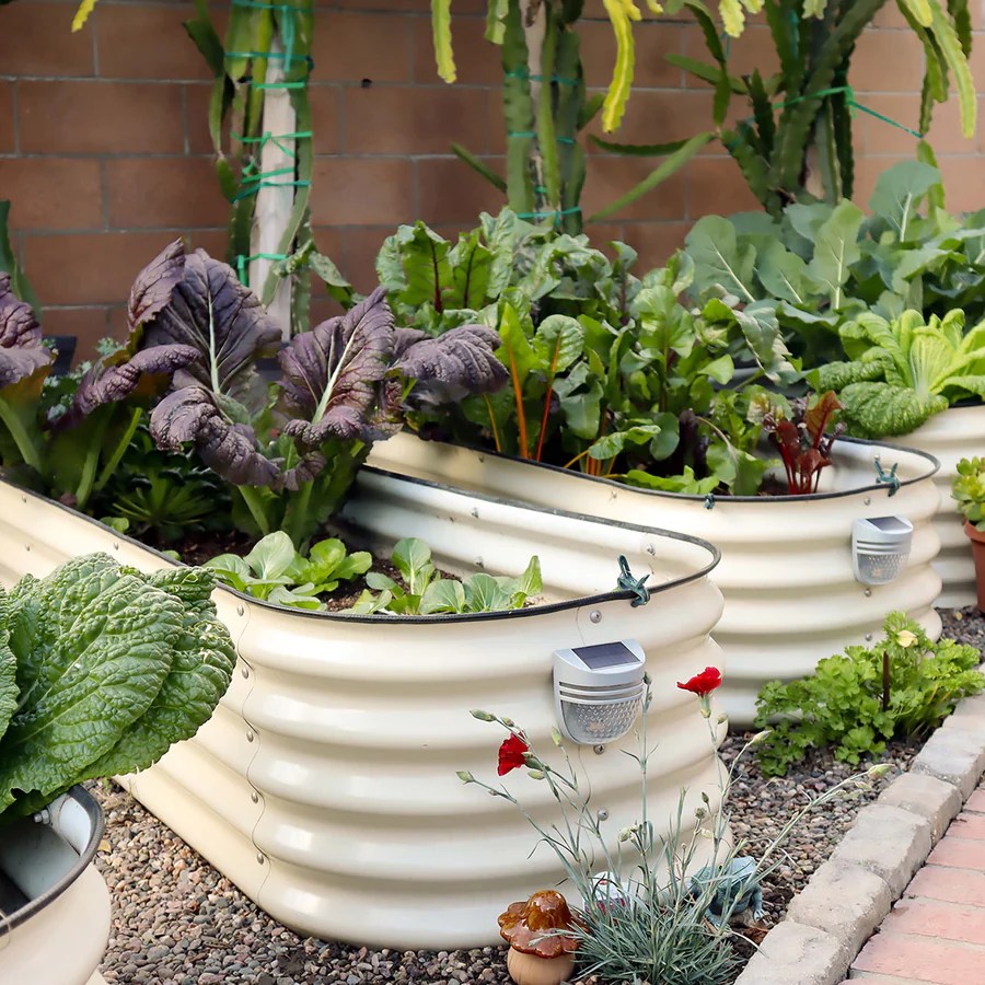 These 7 Best Raised Beds Will Take Your Garden to the Next Level—Literally